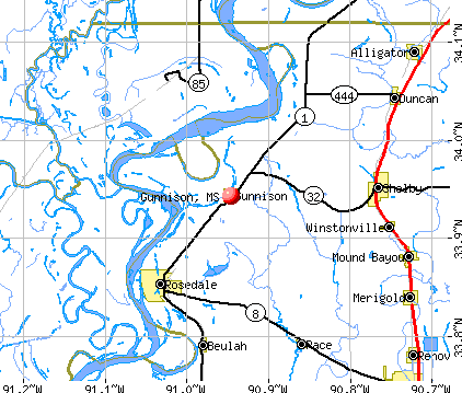 Gunnison, MS map