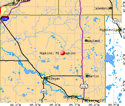 Hopkins, MI map