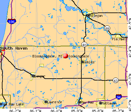 Bloomingdale, MI map