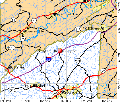Baileyton, TN map