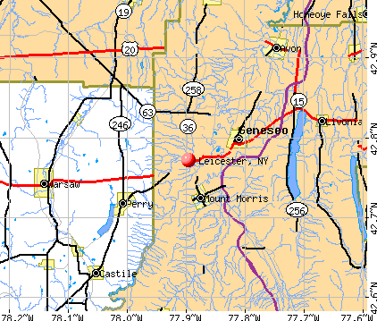 Leicester, NY map