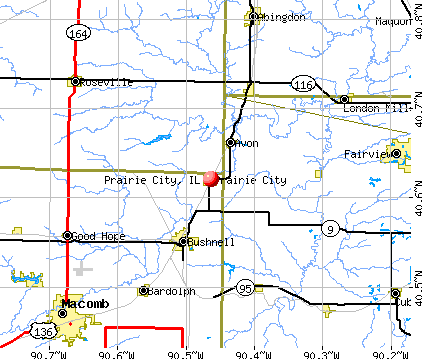 Prairie City, IL map