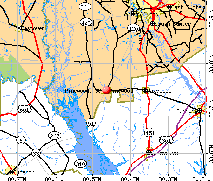 Pinewood, SC map