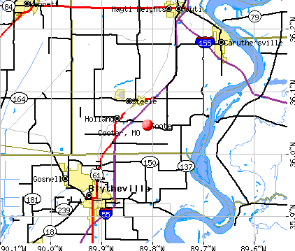 Cooter, MO map