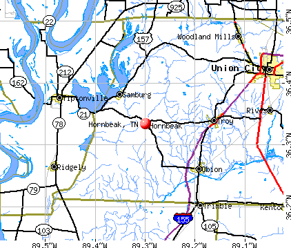Hornbeak, TN map