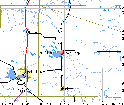 map of michigan cities and counties. Lake City, MI map