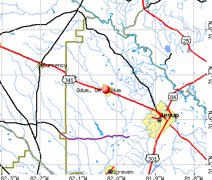 Odum, GA map