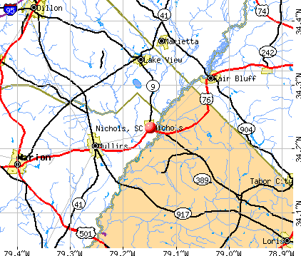 Nichols, SC map
