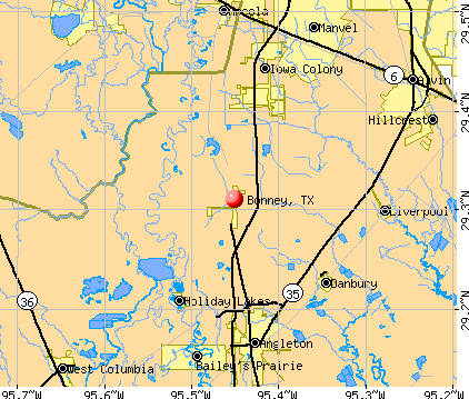 Bonney, TX map