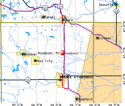 Rosebush, MI map