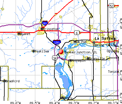Bureau Junction, IL map