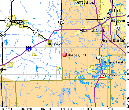 Gaines, MI map