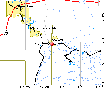McNary, AZ map