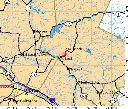 Cold Brook, NY map