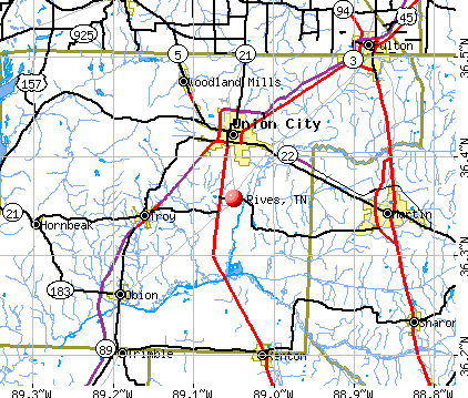 Rives, TN map