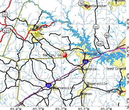 Martin, GA map