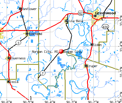 Morgan City, MS map
