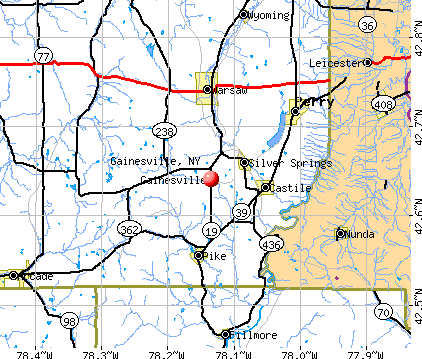 Gainesville, NY map