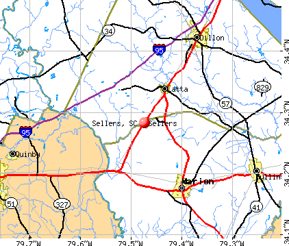 Sellers, SC map