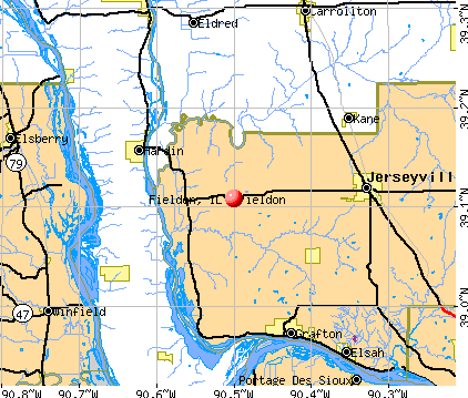 Fieldon, IL map