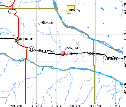 Lynch, NE map