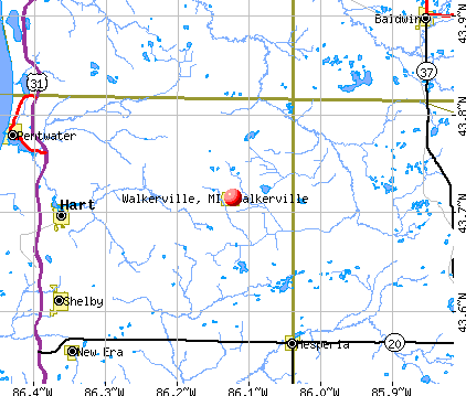 Walkerville, MI map