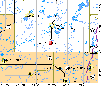 Grant, MI map