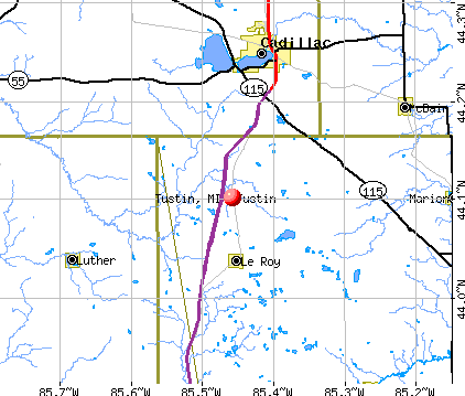 Tustin, MI map