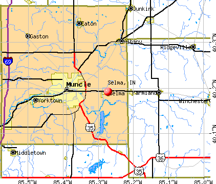 Selma, IN map
