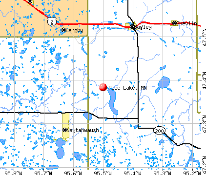 Rice Lake, MN map