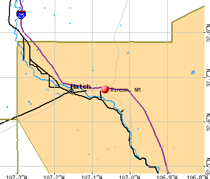 Rincon, NM map