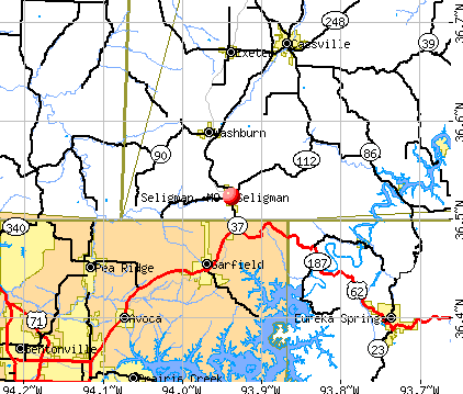 Seligman, MO map
