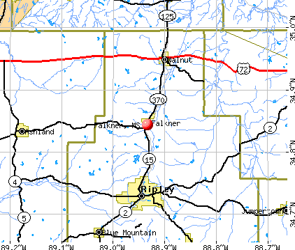 Falkner, MS map