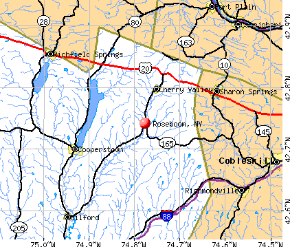 Roseboom, NY map