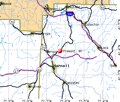 Fremont, NY map