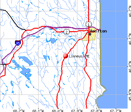 Linneus, ME map