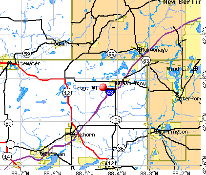 Troy, WI map