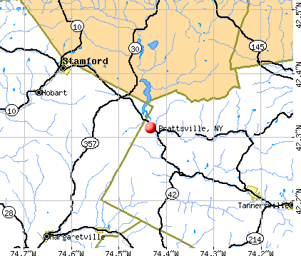 Prattsville, NY map