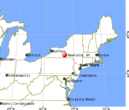 Newfield, New York map