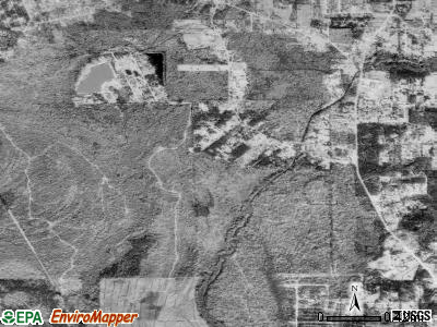 Pine Forest satellite photo by USGS