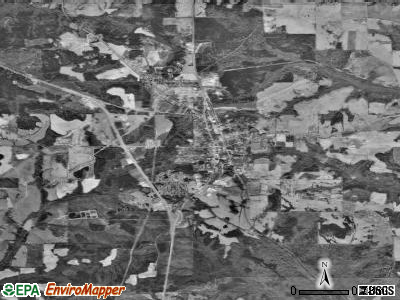 Brundidge satellite photo by USGS