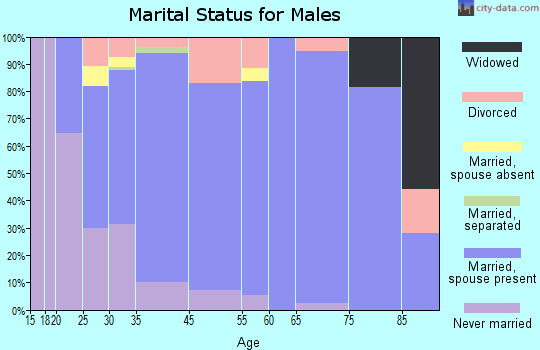 Adamsville marital status for males