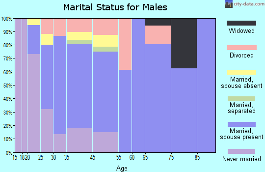 Altoona marital status for males