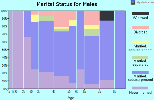 Monument Beach marital status for males