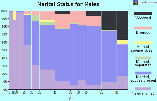 North Adams marital status for males