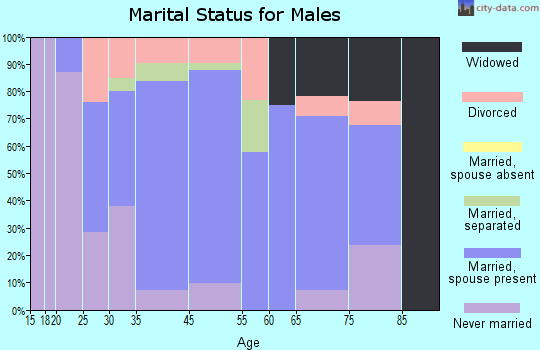 North Brookfield marital status for males