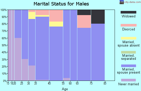 Rio Rico Northeast marital status for males