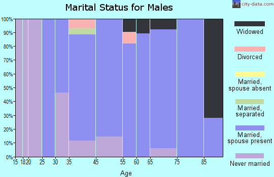 North Seekonk marital status for males