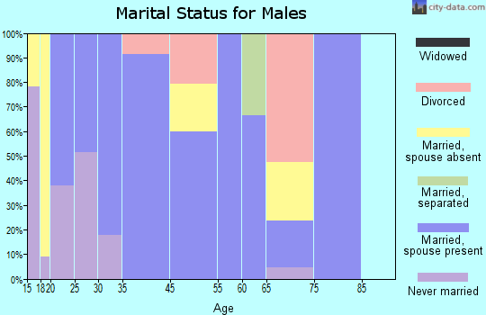 Rio Rico Southeast marital status for males