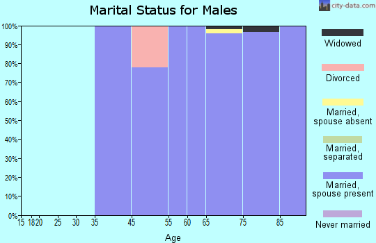 Rio Verde marital status for males